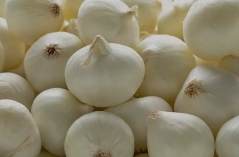 Onion White